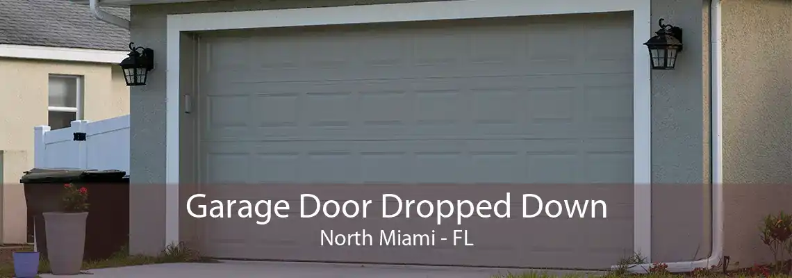 Garage Door Dropped Down North Miami - FL