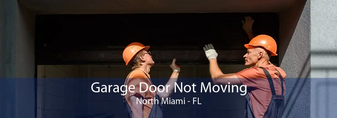 Garage Door Not Moving North Miami - FL