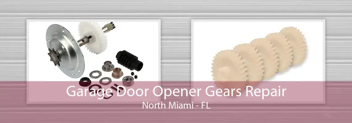 Garage Door Opener Gears Repair North Miami - FL