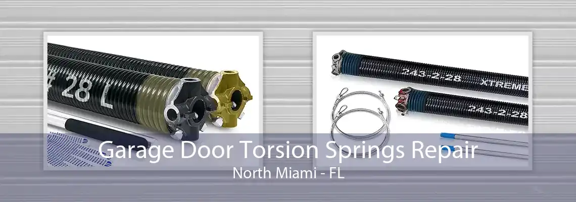 Garage Door Torsion Springs Repair North Miami - FL