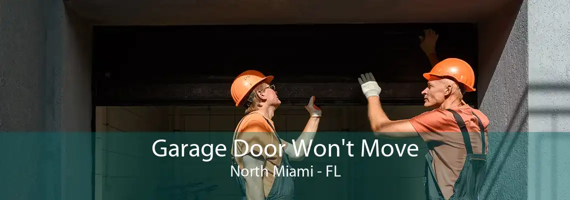 Garage Door Won't Move North Miami - FL